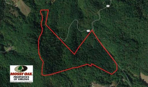 Photo of SOLD!!  81 Acres of Hunting and Recreational Land For Sale in Franklin County VA!