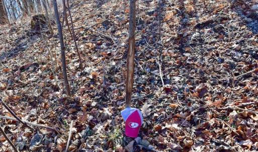 Photo of SOLD!!  81 Acres of Hunting and Recreational Land For Sale in Franklin County VA!