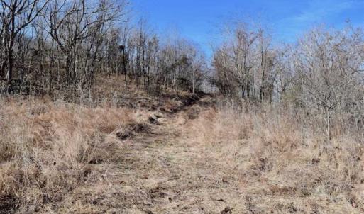 Photo of SOLD!!  81 Acres of Hunting and Recreational Land For Sale in Franklin County VA!