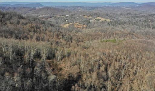 Photo of SOLD!!  81 Acres of Hunting and Recreational Land For Sale in Franklin County VA!