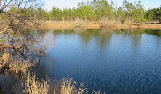 Photo of SOLD!!  8.32 Acres of Commercial and Development Land with Home in Columbus NC!
