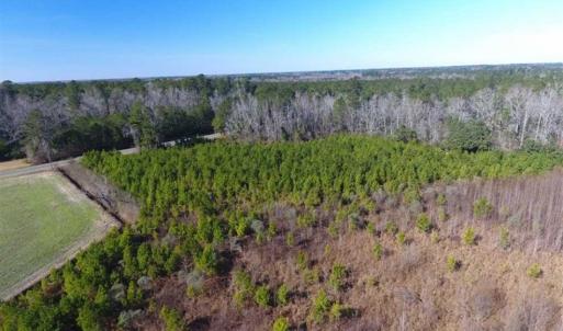 Photo of SOLD!!  13.79 Acres of Development and Hunting Land for Sale in Columbus County NC!