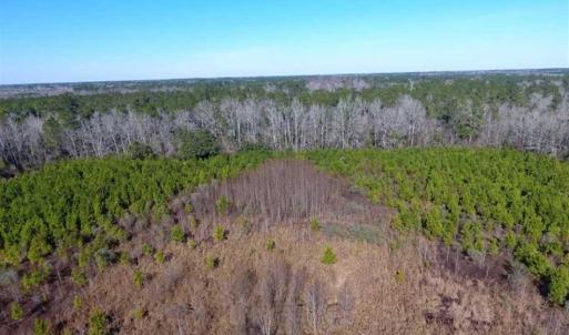 Photo of SOLD!!  13.79 Acres of Development and Hunting Land for Sale in Columbus County NC!