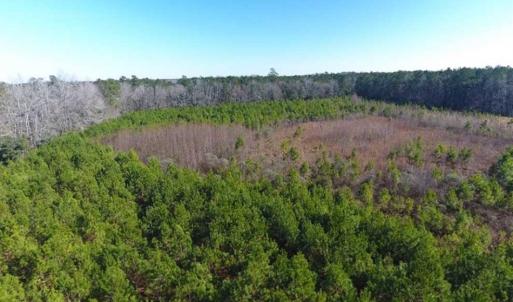 Photo of SOLD!!  13.79 Acres of Development and Hunting Land for Sale in Columbus County NC!