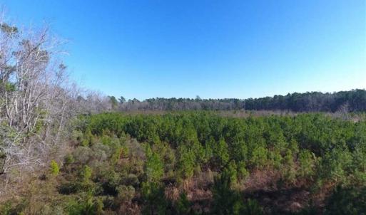 Photo of SOLD!!  13.79 Acres of Development and Hunting Land for Sale in Columbus County NC!