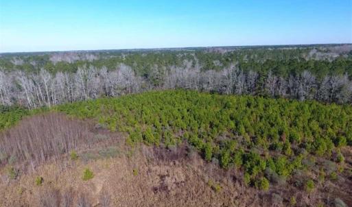 Photo of SOLD!!  13.79 Acres of Development and Hunting Land for Sale in Columbus County NC!