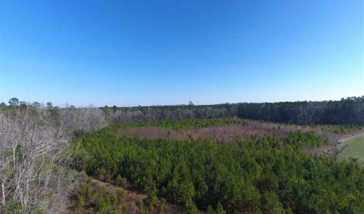 Photo of SOLD!!  13.79 Acres of Development and Hunting Land for Sale in Columbus County NC!