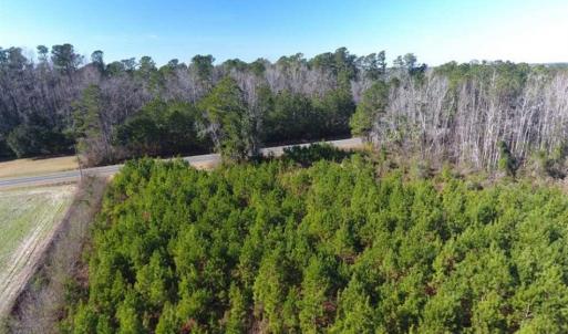 Photo of SOLD!!  13.79 Acres of Development and Hunting Land for Sale in Columbus County NC!