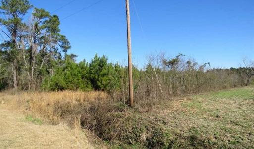 Photo of SOLD!!  13.79 Acres of Development and Hunting Land for Sale in Columbus County NC!