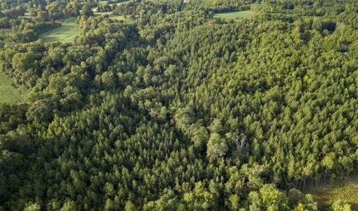 Photo of SOLD!!  28.10 Acres of Farm and Hunting Land For Sale in Person County NC!