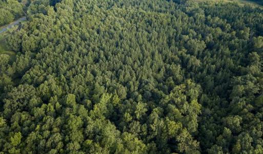 Photo of SOLD!!  28.10 Acres of Farm and Hunting Land For Sale in Person County NC!