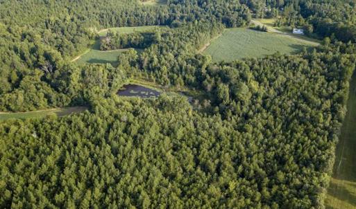 Photo of SOLD!!  79.32 Acres of Farm and Hunting Land For Sale in Person County NC!