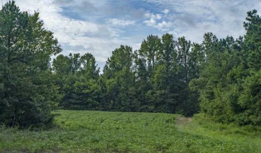 Photo of SOLD!!  79.32 Acres of Farm and Hunting Land For Sale in Person County NC!