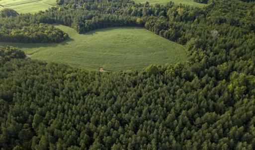 Photo of SOLD!!  79.32 Acres of Farm and Hunting Land For Sale in Person County NC!