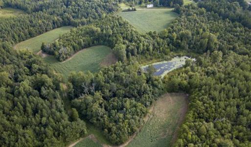 Photo of SOLD!!  79.32 Acres of Farm and Hunting Land For Sale in Person County NC!
