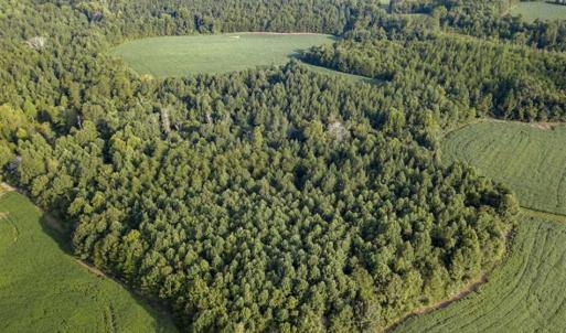 Photo of SOLD!!  79.32 Acres of Farm and Hunting Land For Sale in Person County NC!