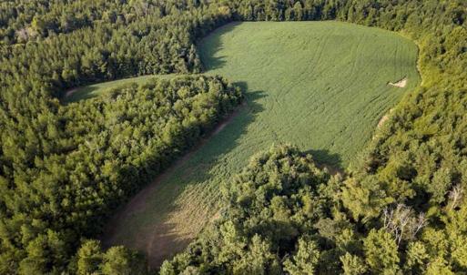 Photo of SOLD!!  79.32 Acres of Farm and Hunting Land For Sale in Person County NC!