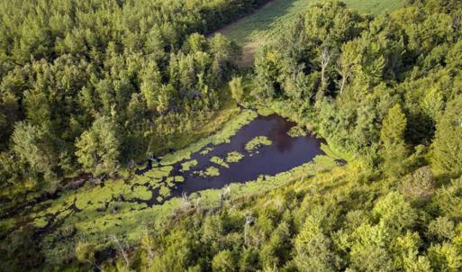 Photo of SOLD!!  79.32 Acres of Farm and Hunting Land For Sale in Person County NC!