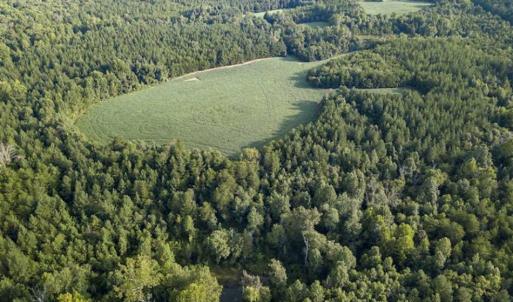 Photo of SOLD!!  79.32 Acres of Farm and Hunting Land For Sale in Person County NC!