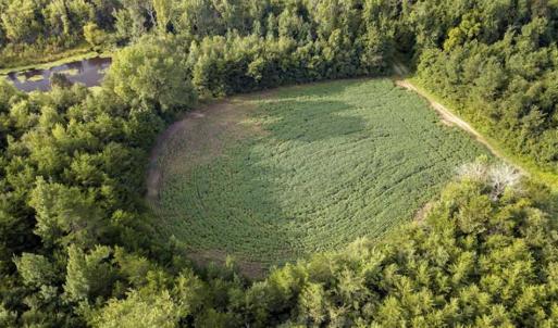 Photo of SOLD!!  79.32 Acres of Farm and Hunting Land For Sale in Person County NC!