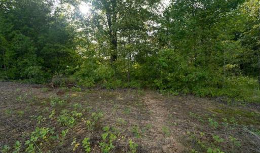 Photo of SOLD!!  79.32 Acres of Farm and Hunting Land For Sale in Person County NC!
