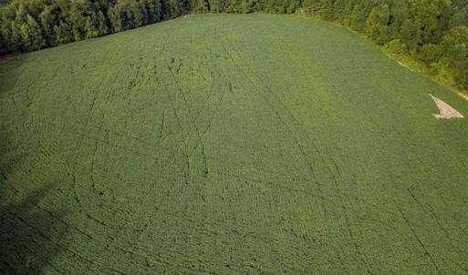 Photo of SOLD!!  79.32 Acres of Farm and Hunting Land For Sale in Person County NC!