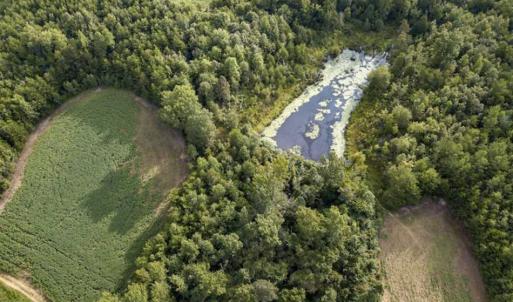 Photo of SOLD!!  79.32 Acres of Farm and Hunting Land For Sale in Person County NC!