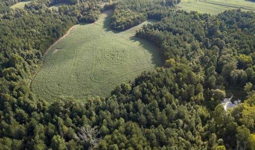 Photo of SOLD!!  79.32 Acres of Farm and Hunting Land For Sale in Person County NC!