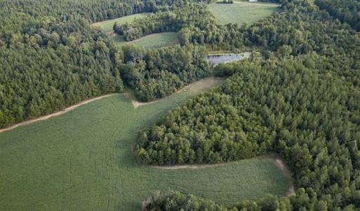 Photo of SOLD!!  79.32 Acres of Farm and Hunting Land For Sale in Person County NC!