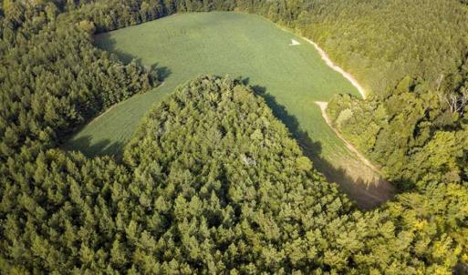 Photo of SOLD!!  79.32 Acres of Farm and Hunting Land For Sale in Person County NC!