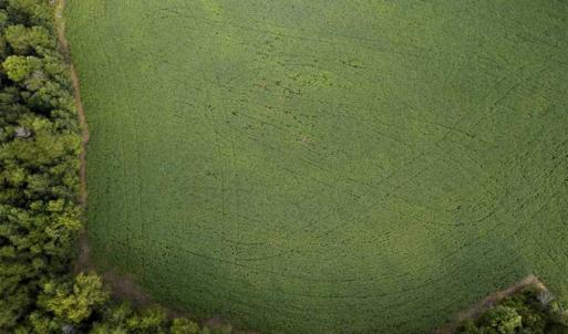 Photo of SOLD!!  79.32 Acres of Farm and Hunting Land For Sale in Person County NC!