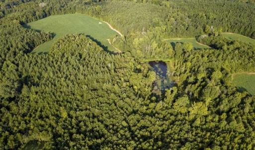 Photo of SOLD!!  79.32 Acres of Farm and Hunting Land For Sale in Person County NC!