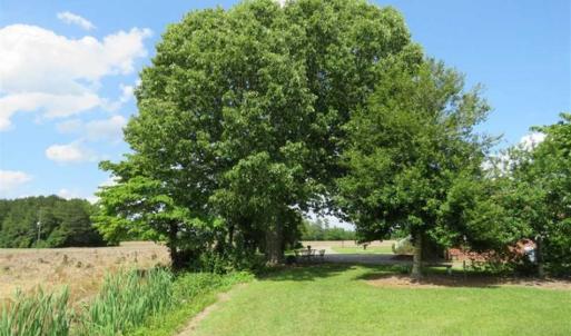 Photo of SOLD!!  23 Ac of Farm and Timber Land with Home and Outbuildings in Robeson Co NC!
