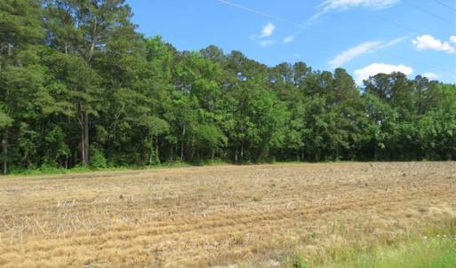 Photo of SOLD!!  20 Acres of Farm Land For Sale in Robeson County NC!