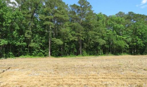 Photo of SOLD!!  20 Acres of Farm Land For Sale in Robeson County NC!
