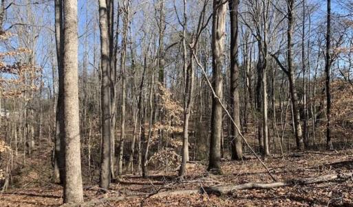 Photo of SOLD!!  2.38 Acres of Residential Land For Sale in Caswell County NC!