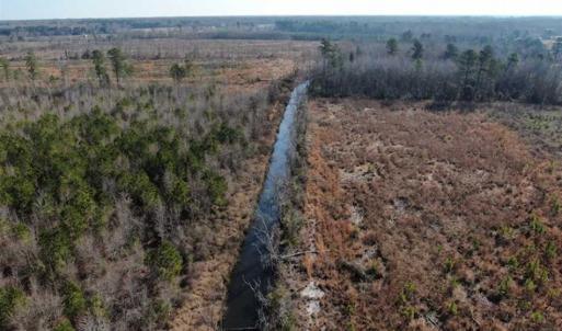 Photo of UNDER CONTRACT!!  79 Acres of Development Land For Sale in Robeson County NC!