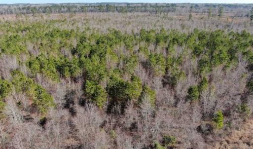Photo of UNDER CONTRACT!!  79 Acres of Development Land For Sale in Robeson County NC!