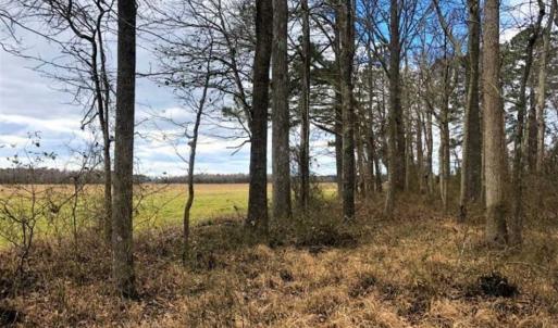 Photo of SOLD!!  12.42 Acres of Land For Sale in Perquimans County NC!