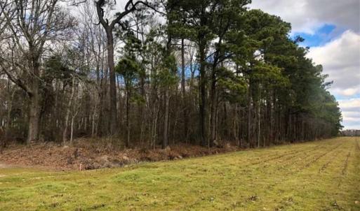 Photo of SOLD!!  12.42 Acres of Land For Sale in Perquimans County NC!
