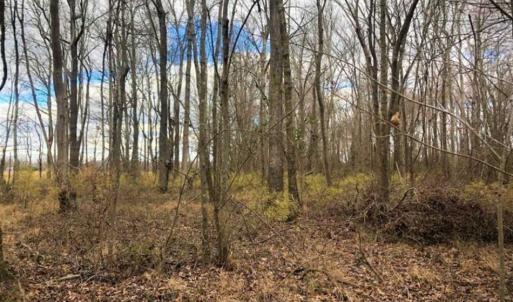 Photo of SOLD!!  12.42 Acres of Land For Sale in Perquimans County NC!