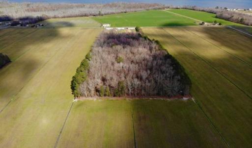 Photo of SOLD!!  12.42 Acres of Land For Sale in Perquimans County NC!