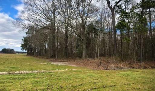 Photo of SOLD!!  12.42 Acres of Land For Sale in Perquimans County NC!