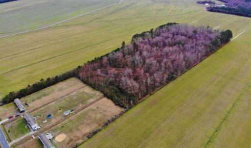 Photo of SOLD!!  12.42 Acres of Land For Sale in Perquimans County NC!