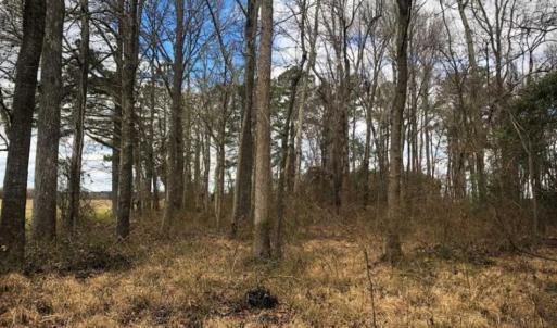 Photo of SOLD!!  12.42 Acres of Land For Sale in Perquimans County NC!