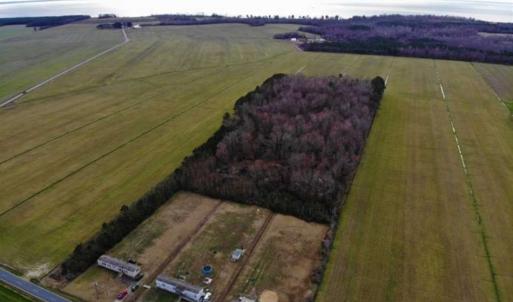 Photo of SOLD!!  12.42 Acres of Land For Sale in Perquimans County NC!