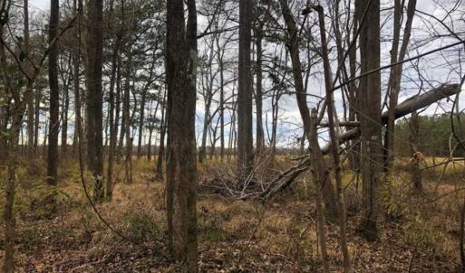 Photo of SOLD!!  12.42 Acres of Land For Sale in Perquimans County NC!