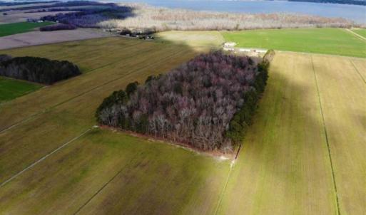 Photo of SOLD!!  12.42 Acres of Land For Sale in Perquimans County NC!