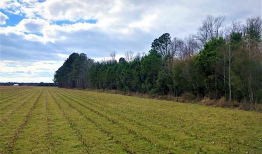 Photo of SOLD!!  12.42 Acres of Land For Sale in Perquimans County NC!