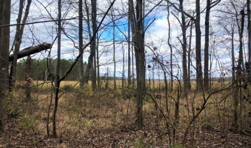 Photo of SOLD!!  12.42 Acres of Land For Sale in Perquimans County NC!